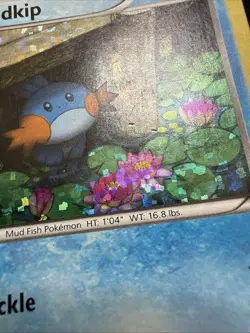 Mudkip - 5/12 - Pokemon McDonald's Promos Holo 2014-2015 (HP) - Image 5