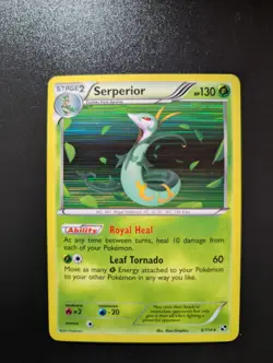 Serperior (6) 6/114 Holo Rare Black and White Holo LP-NM - Image 1