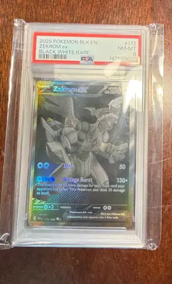 2025 Pokemon Zekrom ex #172 Black White Rare PSA 8 NM-MT Black Bolt - Image 2