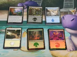 125+ mtg land card lot, 20 of each basic and utility, dual, and other lands used - Image 2