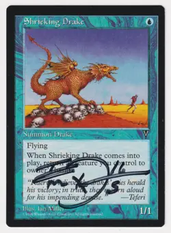 Signed Shrieking Drake MP Visions Artist Ian Miller 1996 WOTC MTG Magic Vintage! - Image 1