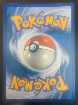Zoroark and Legendary Pokemon Ex JUMBO Promo 2011 BW Rayquaza Groudon Kyogre - Image 2