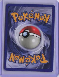 Pidgeot 8/64 Holo Rare Jungle Pokemon Unlimited Holo Near Mint - Image 2
