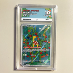 Shuckle 136 Illustration Rare - Mega Evolution - Pokemon ACE 10 - Image 1