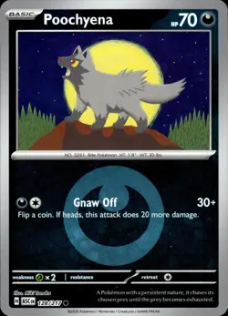 Poochyena (Energy Symbol Pattern)128/217 Holo Asc Heroes Pokemon Reverse Holo NM - Image 1