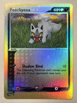 Pokemon Card - Poochyena - e-Series Reverse Holo (65/109) Ruby & Sapphire *VLP* - Image 1
