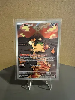 Numel 223/217 - Pokemon TCG: Ascended Heroes - Illustration Rare MINT! - Image 1