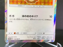 Poncho Wearing eevee Flareon 139/SM-P Mega Campaign Promo Pokemon Card HP - Image 5
