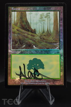Forest (SIGNED by Rob Alexander) - Mercadian Masques Foil - Magic the Gathering - Image 1