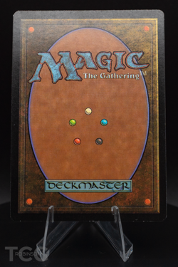 Forest (SIGNED by Rob Alexander) - Mercadian Masques Foil - Magic the Gathering - Image 2