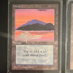 MTG Beta Island Basic Land x6 English Signed Mark Poole - Image 2