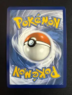 Evoli VMAX 087 Pokemon TCG Sword & Shield Black Star Promos 2021 SWSH NM English - Image 2