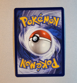 Froakie 88/86 Illustration Rare IR Pokemon Chaos Rising NM - Image 2