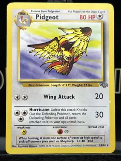Pokemon TCG - Pidgeot 24/64 - Jungle Set - Regular Unlimited Rare WOTC 1999 - LP - Image 3