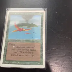 Birds of Paradise Revised Edition Regular - Image 1