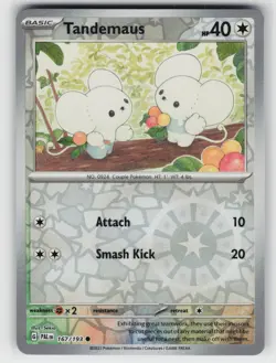 Tandemaus 167 Reverse Holo 193 C Paldea Evolved NM Pokemon - Image 1