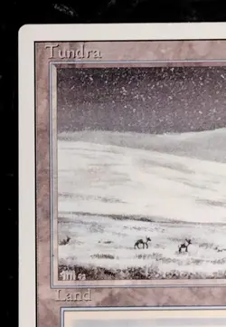 Tundra RARE MaybeUnplayed Revised NMTorBETER HOT🔥KEY🗝Magic The Gathering MTG - Image 4