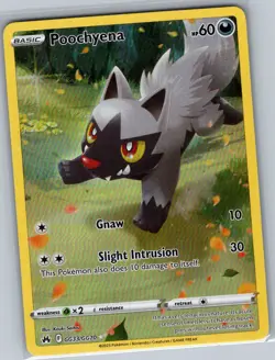 Poochyena GG33/GG70 SWSH: Crown Zenith: Galarian Gallery - Pokemon Card - NM - Image 1