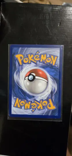 Pokemon TCG Feraligatr Illustration Contest 2024 Holo Promo 213 - Image 2
