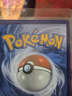 Pokemon TCG Eevee GX Promo Full Art Holo Sun & Moon Black Star Promo 233 DMG - Image 4