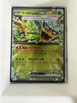 Teal Mask Ogerpon EX 020/187 Terastal Festival Japanese Pokemon NM/M - Image 1