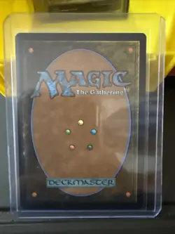 MTG - Kutzil, Malamet Exemplar - Showcase - LCI 0304 - Lost Caverns of Ixalan - Image 2