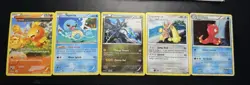 Pokemon TCG Lot Of 5 Cards With Holos 2009-2015 Featuring Squirtle & Zekrom - Image 1