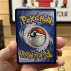Pokemon Chinese Card Holder/Keychain Flapple AR (Sealed) & Other Cards - Image 4