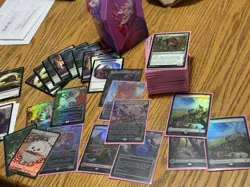 MTG Secret Lair Drop 2023 - Foil Its Raining Cats & Dogs - Image 1