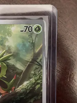 Chespin 087/086 Pokemon Chaos Rising Holo Pokemon Card - Image 4