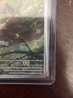 Chespin 087/086 Pokemon Chaos Rising Holo Pokemon Card - Image 5