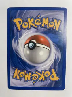 Raikou LV.42 16/132 CRACKED ICE Holo RARE Secret Wonders POKEMON LP+ - Image 4