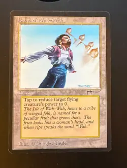 MTG (Magic the Gathering)-Arabian Nights-Island of Wak-Wak-NM-Free Shipping! - Image 1