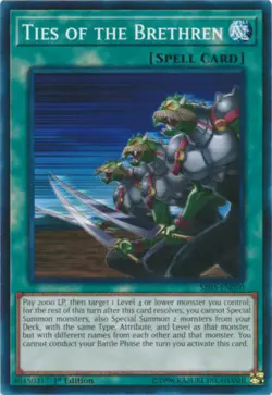 Ties of the Brethren - SR05-EN030 - Common - 1st Edition - NEAR MINT - Yugioh - Image 1