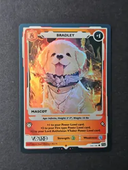 Bradley Holo Lord Aethelstan Mascot Card 1st Edition Rising Stars VCard Aethel - Image 1