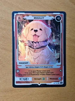 Bradley Holo Lord Aethelstan Mascot Card 1st Edition Rising Stars VCard Aethel - Image 2