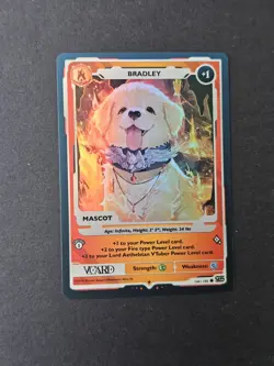 Bradley Holo Lord Aethelstan Mascot Card 1st Edition Rising Stars VCard Aethel - Image 3