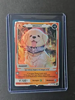 Bradley Holo Lord Aethelstan Mascot Card 1st Edition Rising Stars VCard Aethel - Image 5