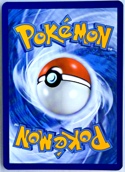 Bruxish 200/191 Illustration Rare Surging Sparks NM - Pokemon TCG - Image 2