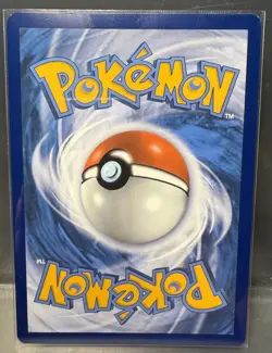 Charizard V Star SWSH262 Pokemon Sword And Shield Promo - Image 2