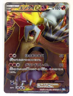 Entei Raikou EX 071/069 070/069 BW4 1st ED Full ART SR TCG Japanese Pokemon Card - Image 3