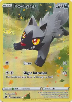 Poochyena GG33/GG70 Holo Rare Crown Zenith Pokemon TCG - Image 1