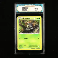TQG 9.5 Mint+ 2014 Pokemon ENG Scatterbug #XY 15/146 C - Image 1
