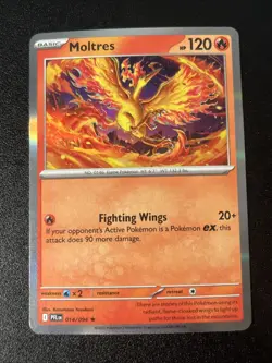 Moltres 014/094 -Phantasmal Flames - Holo Rare - Near Mint - Pokemon TCG - Image 1