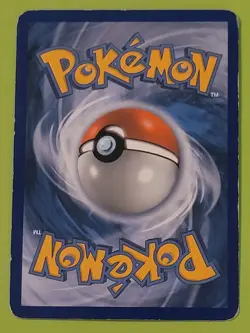 Pikachu 13/17 Pop Series 5 Common Card English Edition - Image 2