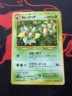 Pokemon TCG JPN Vintage Lot -- WOTC Era Holo Rare - Image 5