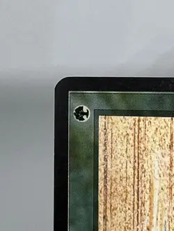 MTG SANDSTORM Arabian Nights Regular MT Common Magic The Gathering - Image 5