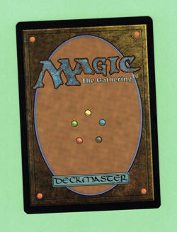 MTG - RHYTHM OF THE WILD 201/259 U RNA 2019 - Image 2
