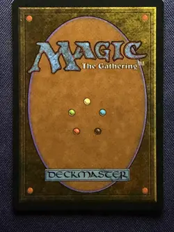 Arboria - 1994 Magic the Gathering MTG Legends - Free Shipping! - Image 2