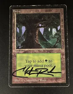 MTG Forest Beta with crimp Signed major misprint - Image 1